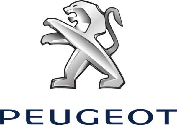 Pokrowce serwisowe na fotele z logo Peugeot 500 szt.