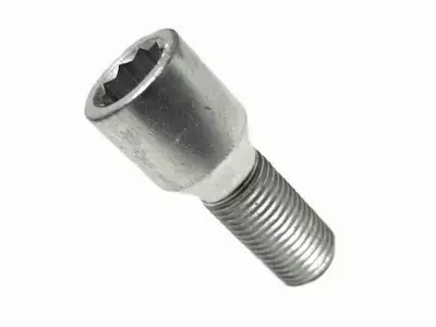 Śruba 12x1,25 (torx) torks